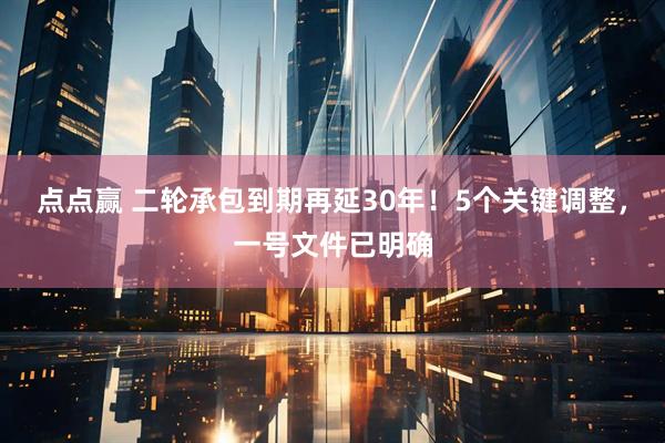 点点赢 二轮承包到期再延30年！5个关键调整，一号文件已明确