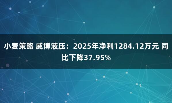 小麦策略 威博液压：2025年净利1284.12万元 同比下降37.95%